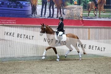 181887_mtp_05_R62_9518.JPG