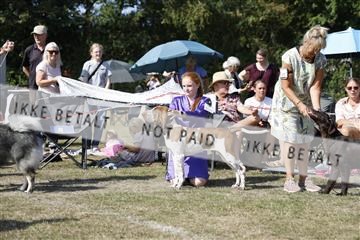 181848_kar_01__62_2112.JPG