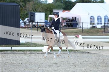 181894_mtp_05_R62_5394.JPG