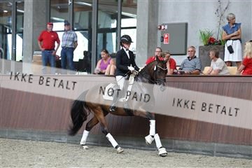 181852_mtp_05_R62_3238.JPG