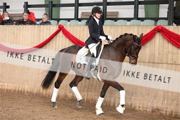 170266_mtp_01_3M5A0473.JPG