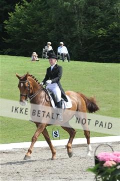 135676_sg_01_IMG_8034.JPG