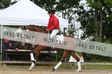 135518_ms_01_IMG_0855.JPG