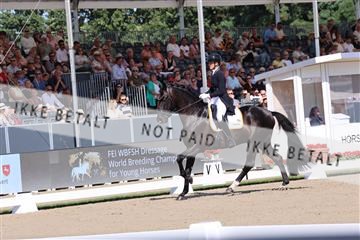 181799_BC_07_00006.JPG