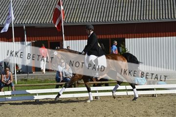 136195_abo_01__AB16552.JPG