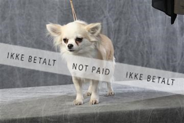 129608_le_ 01_0577.JPG