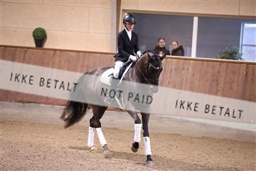 176250_mtp_01_3M5A4277.JPG
