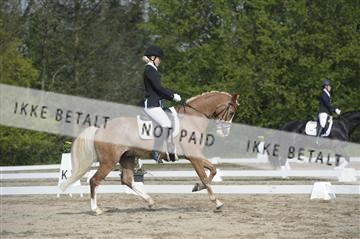 155778_ms_01__MS14699.JPG