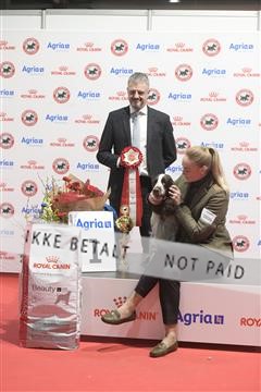 178657_kar_02__8501531.JPG