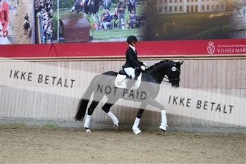 181887_mtp_01_R62_7000.JPG