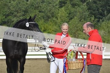 136195_abo_01__AB15426.JPG