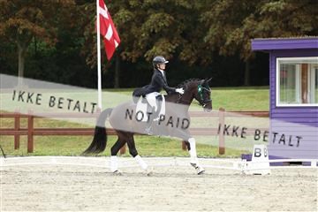 181923_mtp_03_R62_7918.JPG