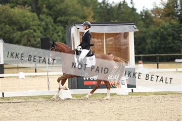 181894_mtp_03_R62_2679.JPG