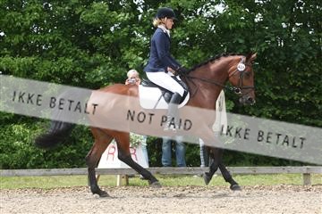 135518_ms_01_IMG_1562.JPG