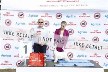 181848_kar_01__62_2121.JPG