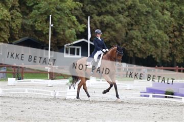 181923_mtp_01_R62_6482.JPG