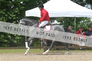135518_ms_01_IMG_1280.JPG