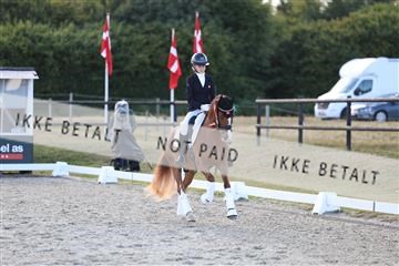 181894_mtp_05_R62_5747.JPG
