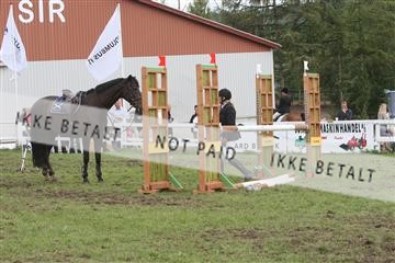5925_ma_05_IMG_0729.JPG