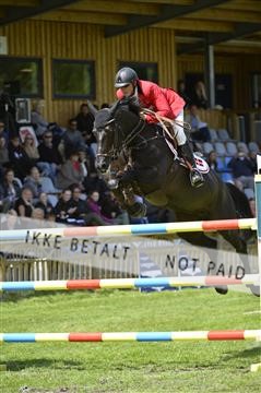 139671_abo_02__AB17237.JPG