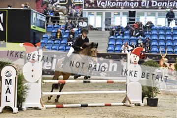 161006_abo_01__D051145.JPG