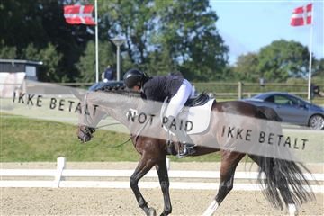 148862_sg_01_IMG_2922.JPG
