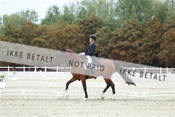 181923_mtp_01_R62_6800.JPG
