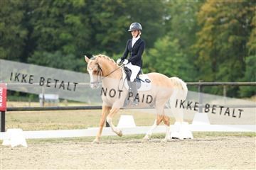 181894_mtp_04_R62_3365.JPG