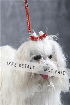 129608_le_ 01_0185.JPG