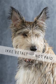 129608_le_ 01_0207.JPG