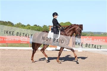 181449_bc_01R62_6378.JPG