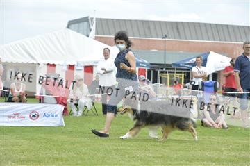 168981_bkn_01__MHR0285.JPG