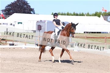 181449_bc_01R62_5970.JPG