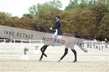 181923_mtp_04_R62_8638.JPG