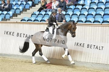 160111_nn_01__ESK1890.JPG