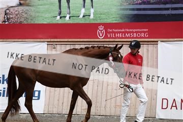 181957_avh_02_5153.JPG