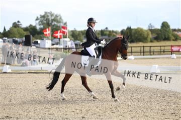 181894_mtp_02_R62_2136.JPG