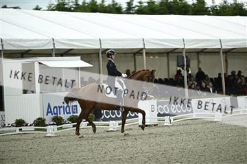 181449_kbb_03_Z090931.JPG