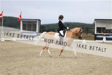 181894_mtp_04_R62_3382.JPG