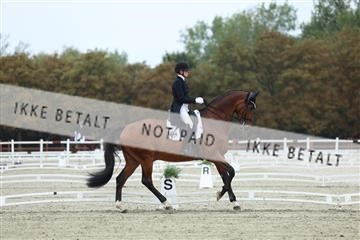 181923_mtp_03_R62_7701.JPG