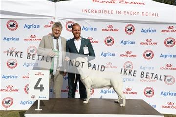 181848_kar_01__62_4282.JPG