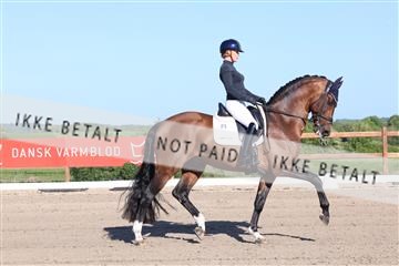 181449_bc_01R62_6177.JPG