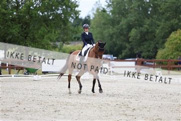 181923_mtp_01_R62_6467.JPG