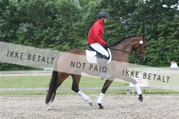 135518_ms_02_IMG_2698.JPG