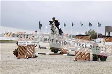 181922_avh_01_0895.JPG