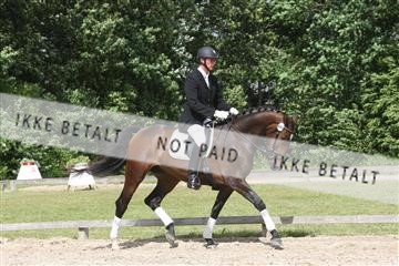 135518_ms_02_IMG_2737.JPG
