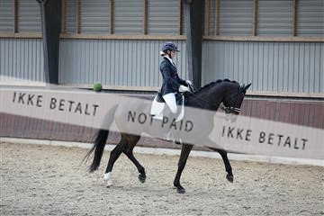171210_mtp_01_3M5A6154.JPG