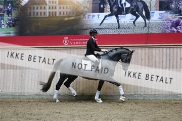 181887_mtp_05_R62_9651.JPG