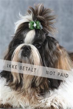 129608_le_ 01_0093.JPG