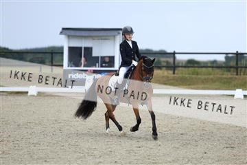 181894_mtp_05_R62_4184.JPG